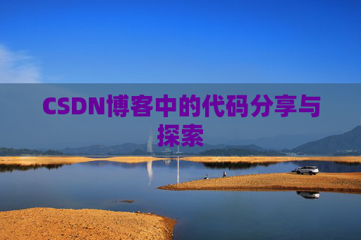 CSDN博客中的代码分享与探索